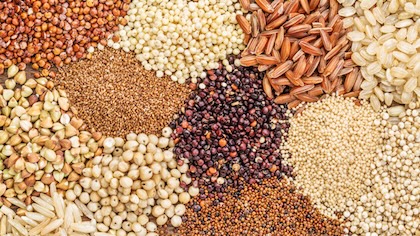 Legumbres y Subproductos